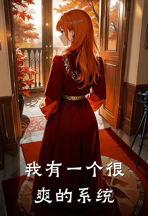 我有一个很爽的系统