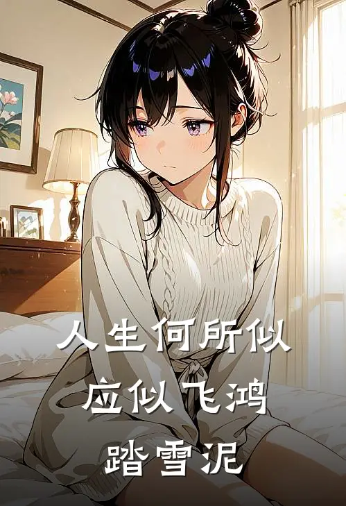 人生何所似,应似飞鸿踏雪泥